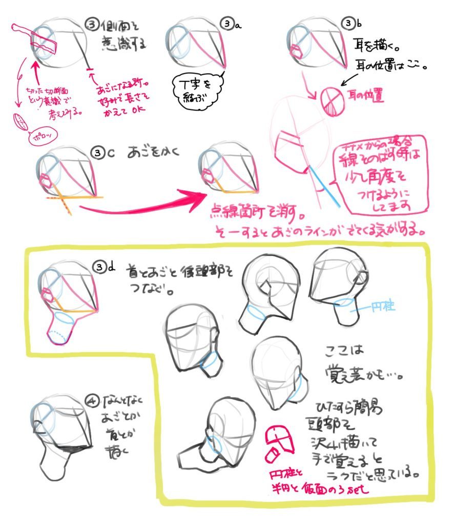 顔の描き方 立体的に顔を描く事が苦手な方へ ルーミス教本 ハンプトン先生を応用してみるの巻 たのしくお絵描き研究所